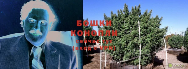 эйфоретик Богородск
