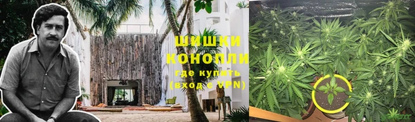 бутират Богданович