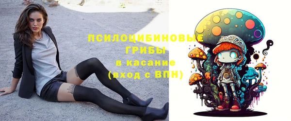 прущие крисы Богородицк