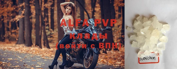 индика Аркадак